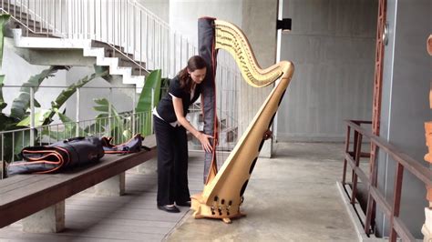 Transporting harp from San Francisco no laughing matter … except in this case: Roadshow